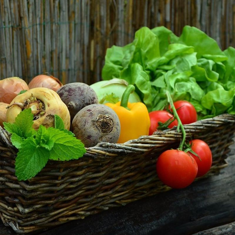 Grow Your Own Vegetables