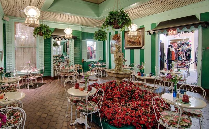 The Little Traveler Tea Room