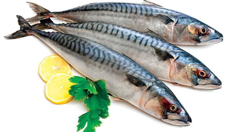 Fatty Fish (Salmon, Sardines, Mackerel)