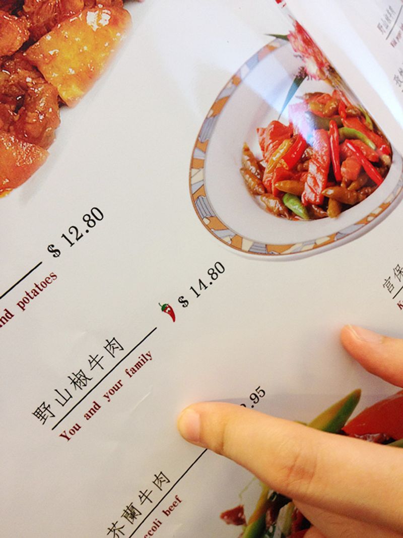 Poorly Translated Menus or Errors