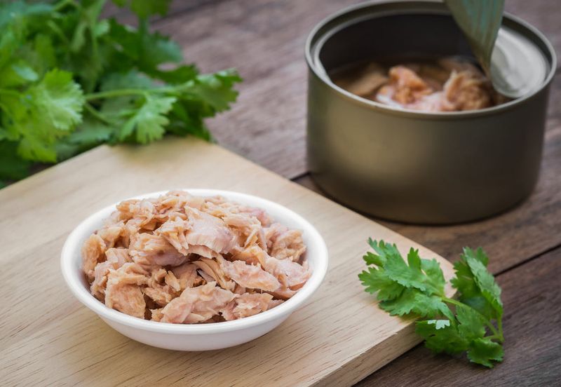 Canned Tuna or Salmon (Packed in Water)