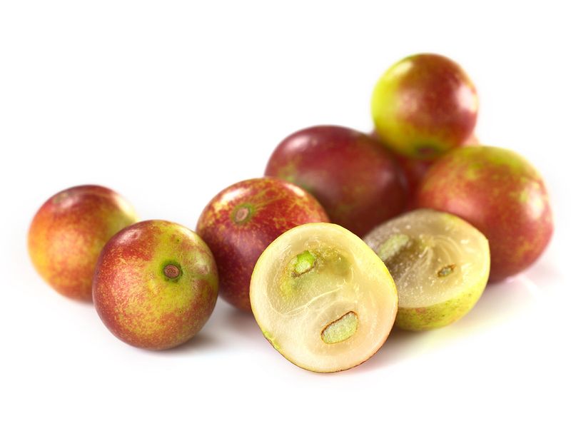 Camu Camu (Amazon Rainforest)