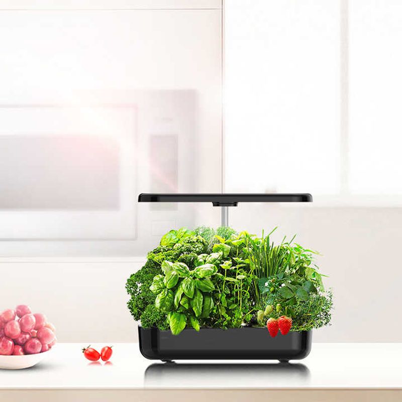 Self-Watering Herb Garden