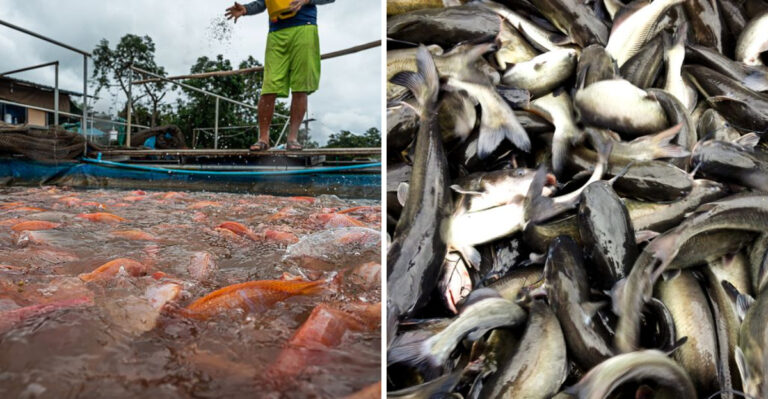 15 Fish You Should Avoid Eating—And Why