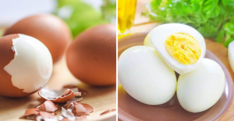 16 Facts You Should Know About Hard-Boiled Eggs