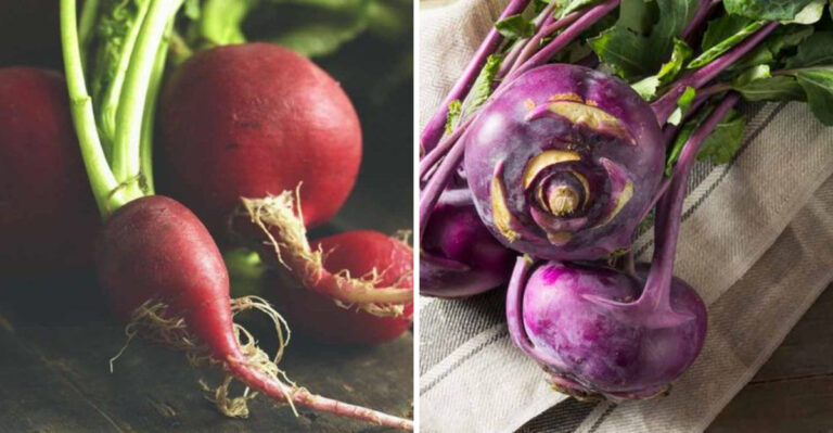 20 Vegetables That Are Healthier Than They Seem