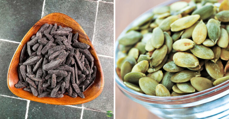 6 Overrated Seeds That Aren’t All That And 9 Nutrient-Packed Seeds You Should Actually Add Daily