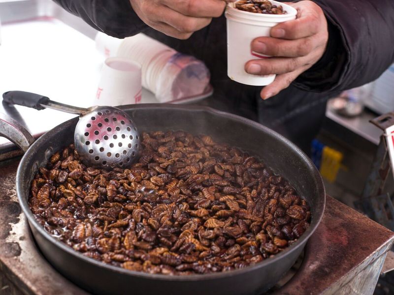 Beondegi (Silkworm Pupae)