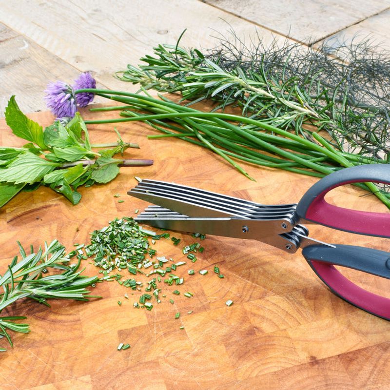 Herb Scissors