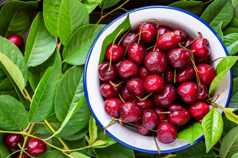 Cherries