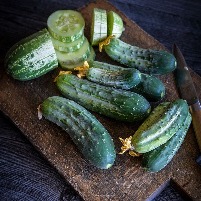 Cucumber Seeds