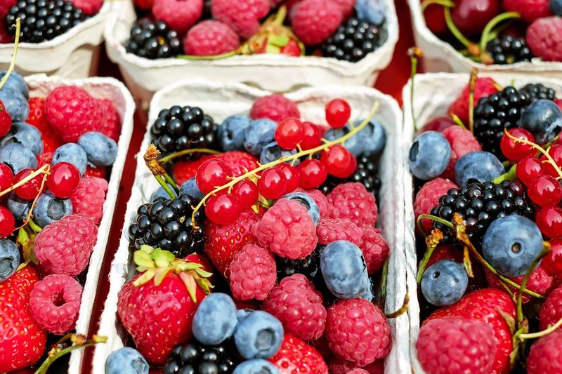 Berries and a Handful of Walnuts