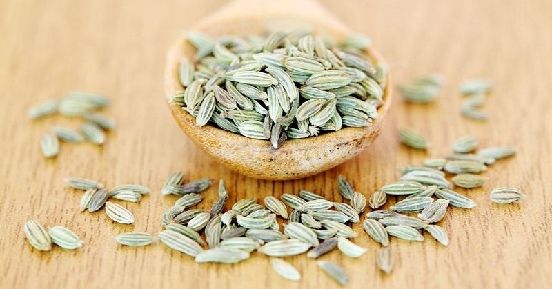 Fennel Seeds