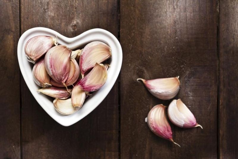Garlic