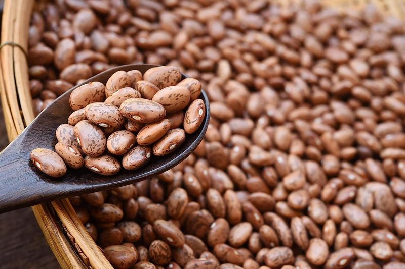 Simple Truth Organic Pinto Beans (No Salt Added)