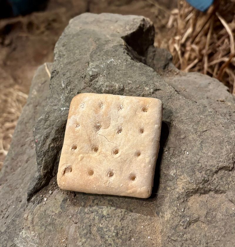 Hardtack (Modernized as Crackers or Flatbreads)