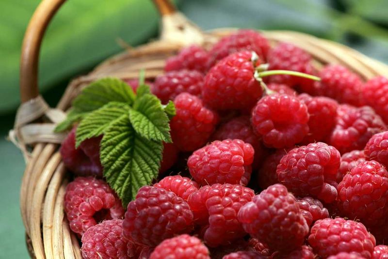 Raspberries