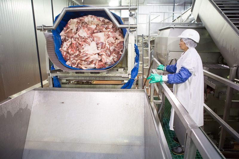 The Meat Is Heavily Processed