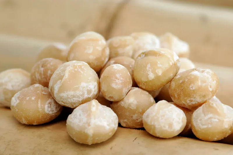 Macadamia Nuts (In Excess)