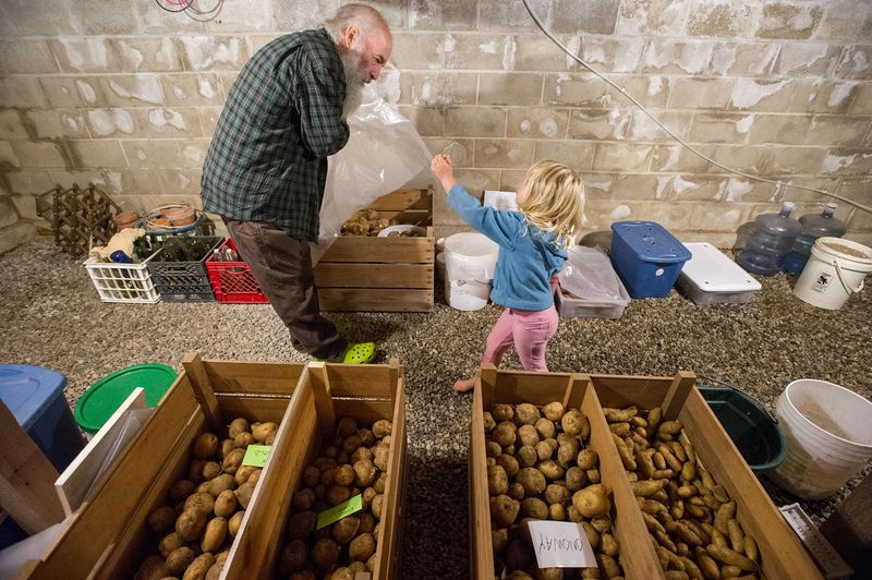 Root Cellar-Style Bin