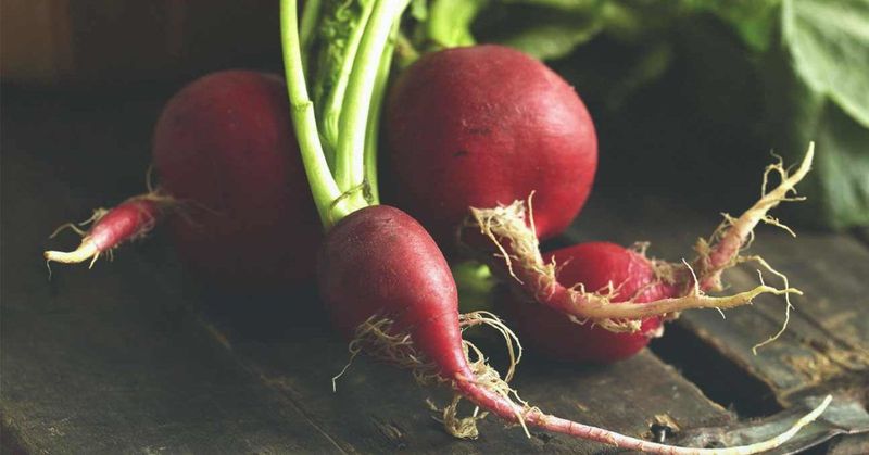 Radishes