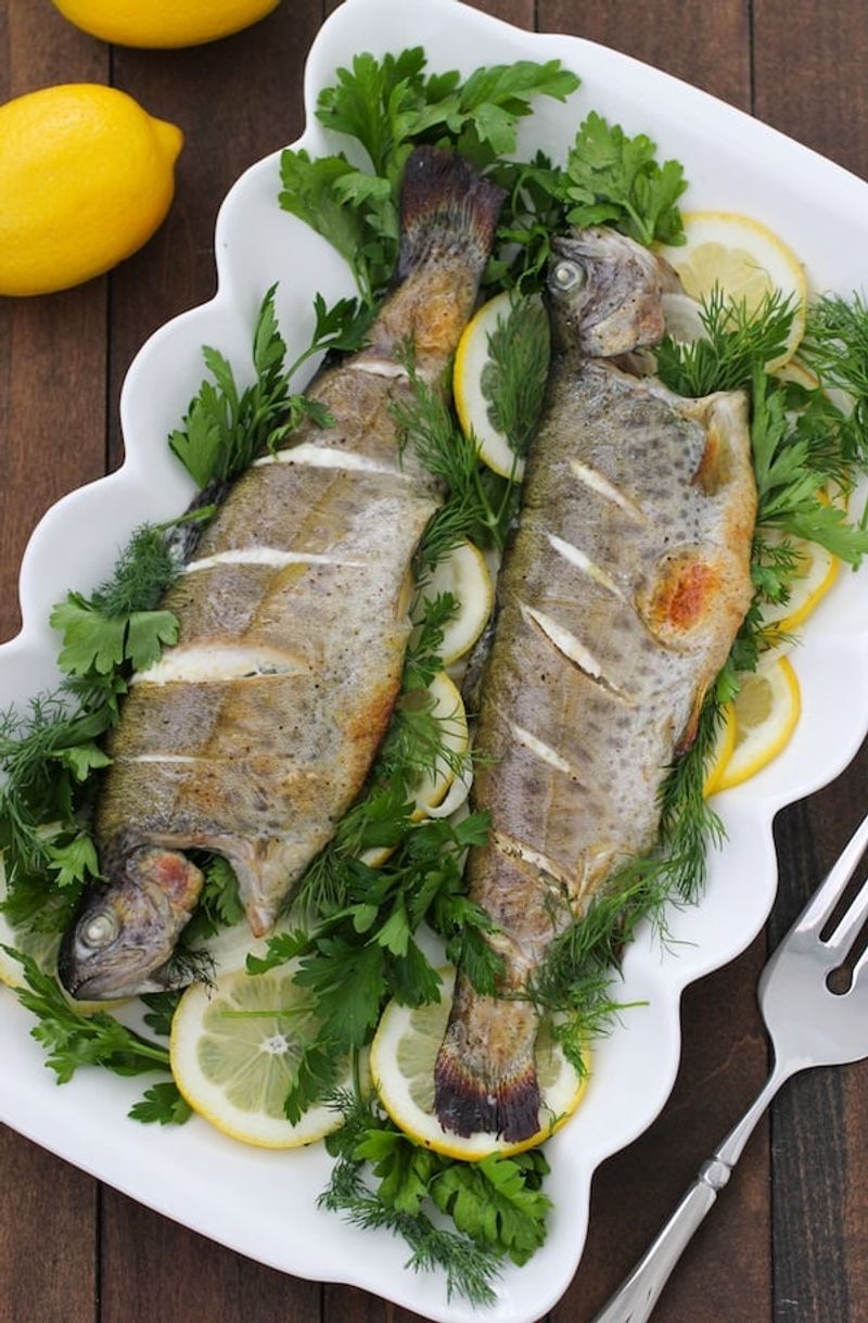Rainbow Trout
