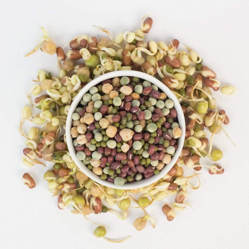 Barley (Whole or Sprouted)