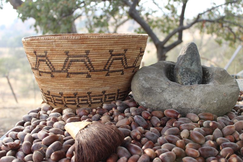 Acorn Mush (California Tribes)