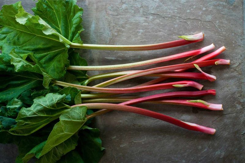 Rhubarb