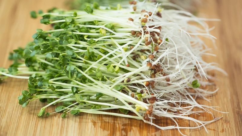 Cruciferous Veggies (Like Broccoli Sprouts or Arugula)