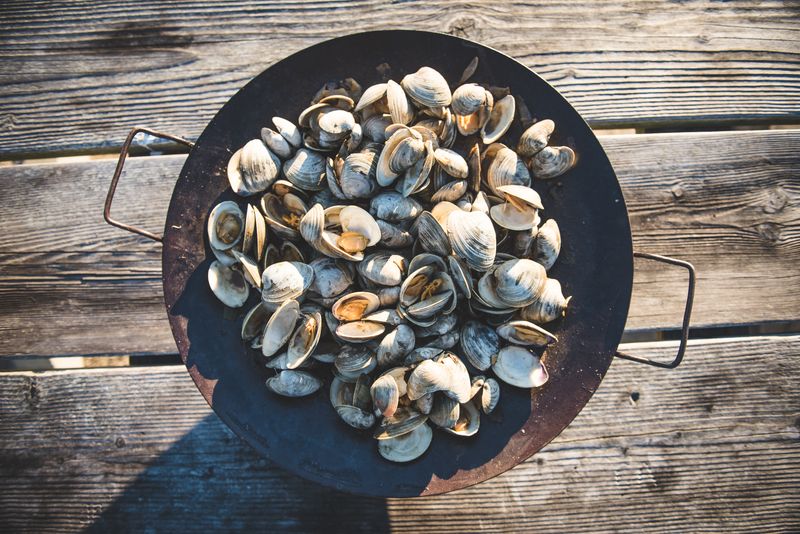 Connecticut – Steamed Clams