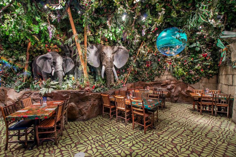 Rainforest Café (Animal Kingdom & Disney Springs)