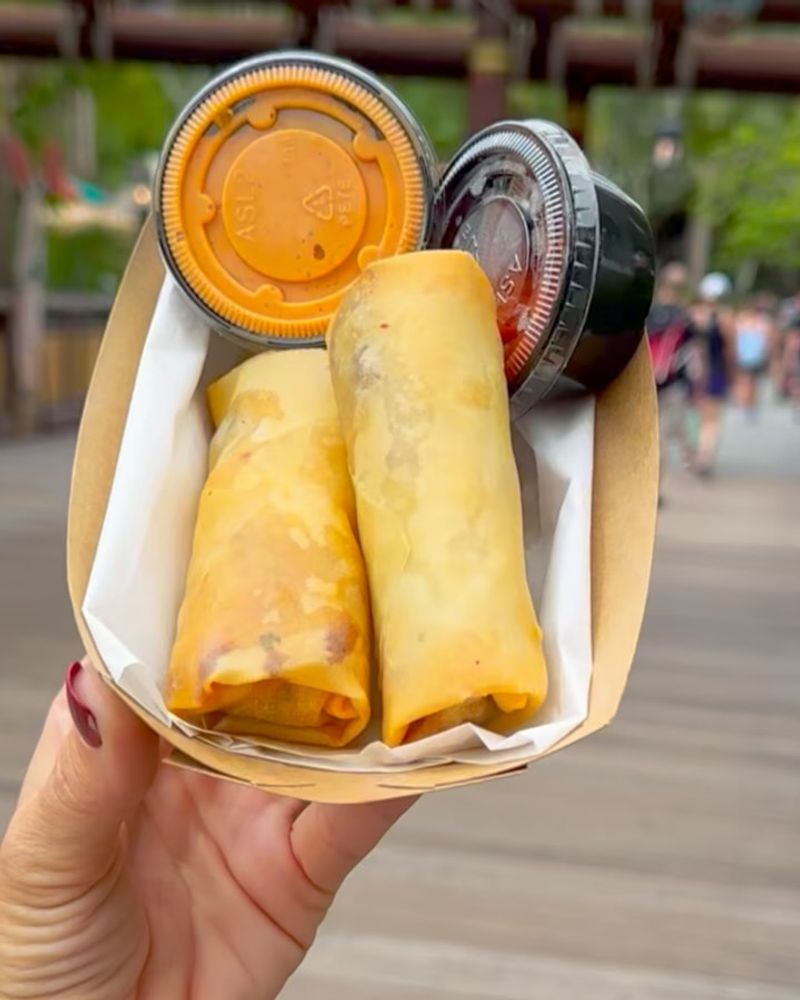 Cheeseburger Spring Rolls (Adventureland, Magic Kingdom)