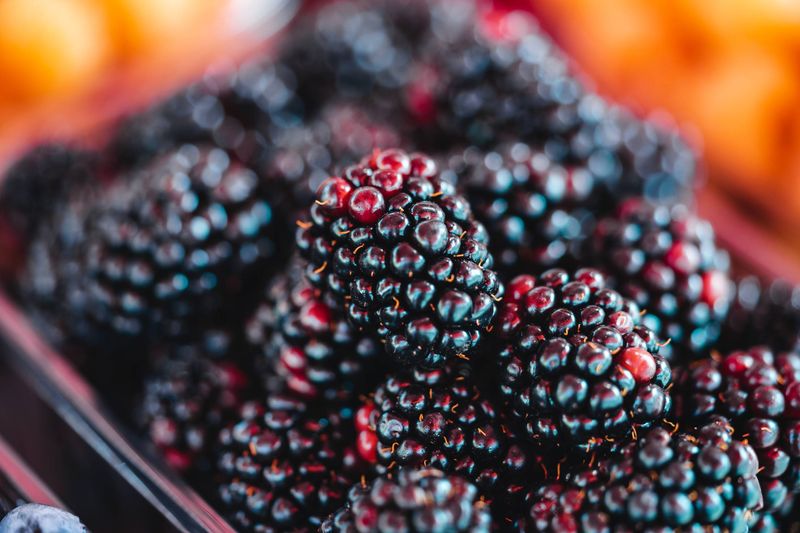 Blackberries