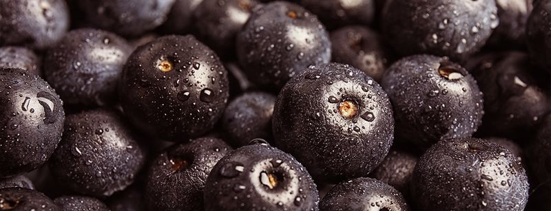 Acai Berries (Frozen or Powdered)