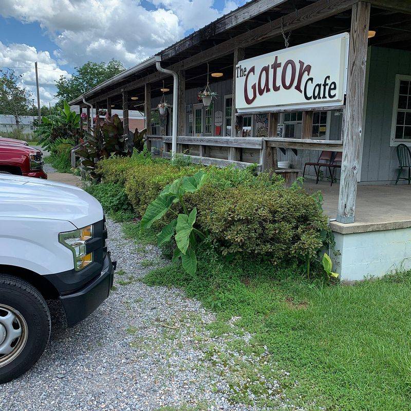 Florida: The Gator Café (Baker)