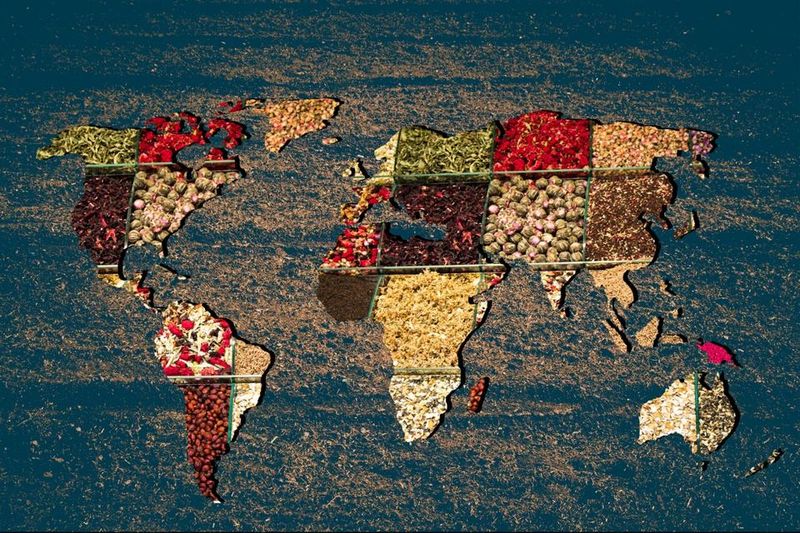 Global-Inspired Menus