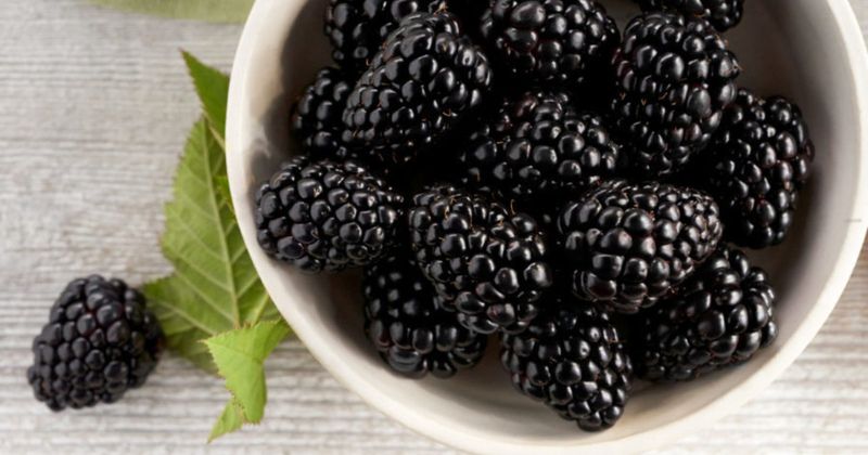 Blackberries