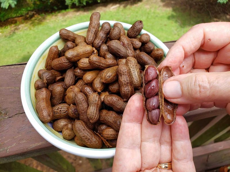 Georgia: Boiled Peanuts