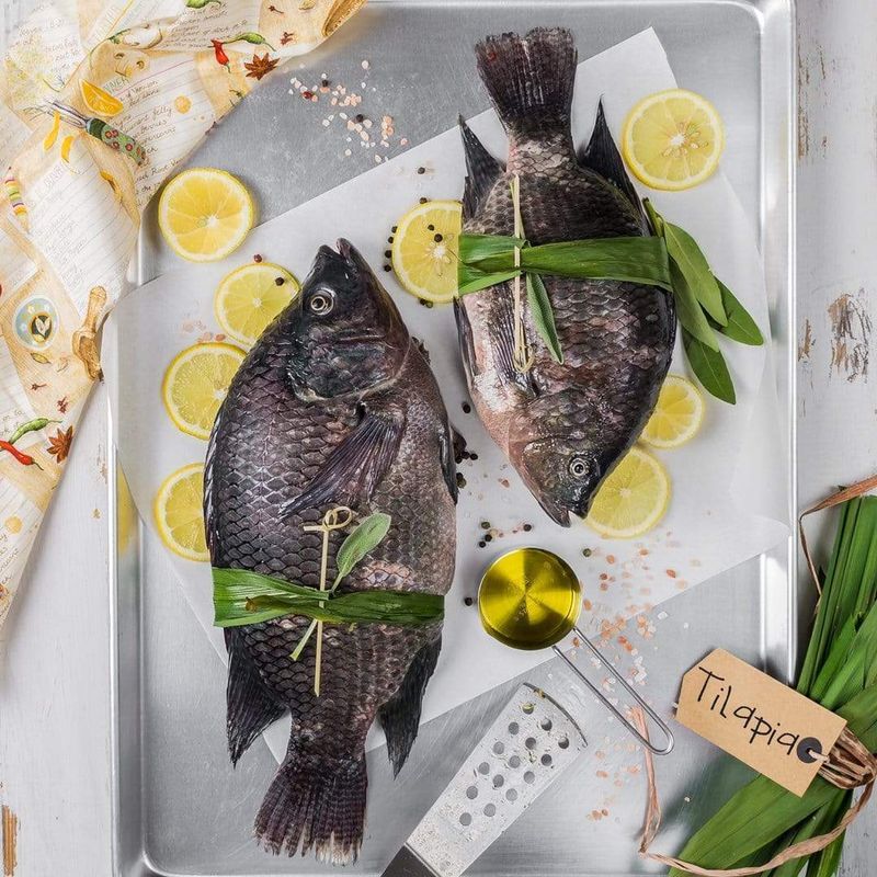 Previously Frozen Tilapia (from questionable sources)