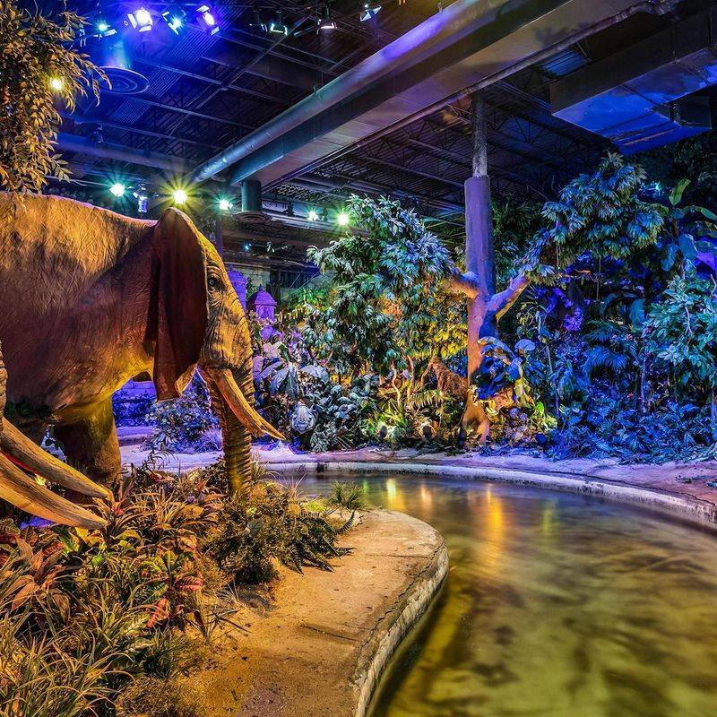 Rainforest Café