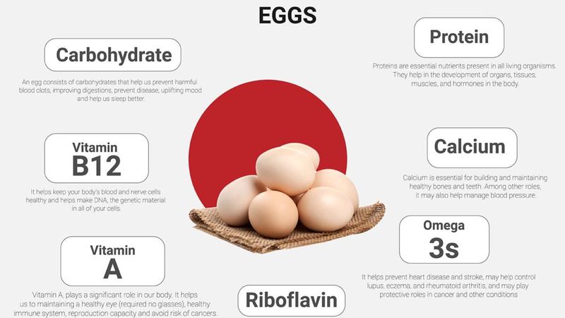 Eggs