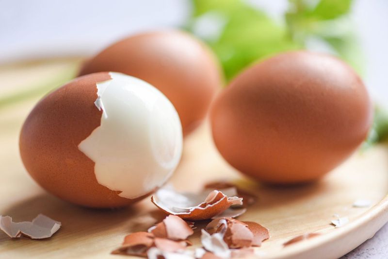 Storage Life of Eggs