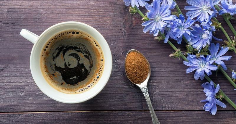 Chicory Root
