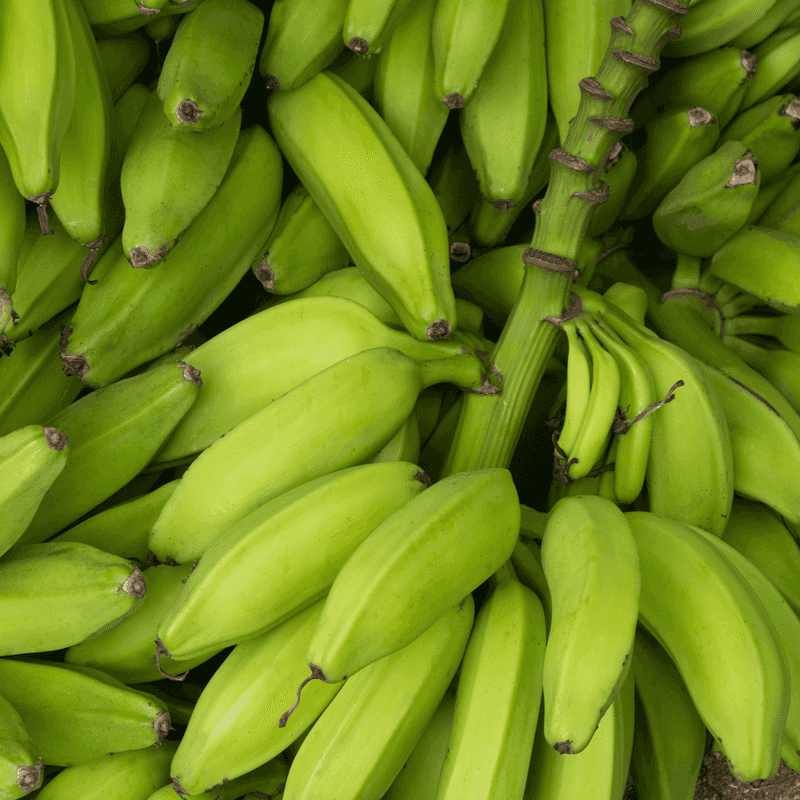 Bananas (Especially Slightly Green)