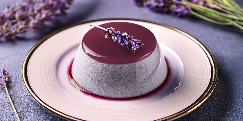 Lavender Honey Panna Cotta