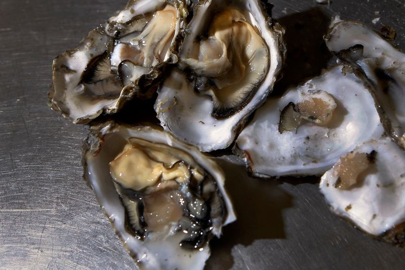 Raw Oysters or Undercooked Shellfish