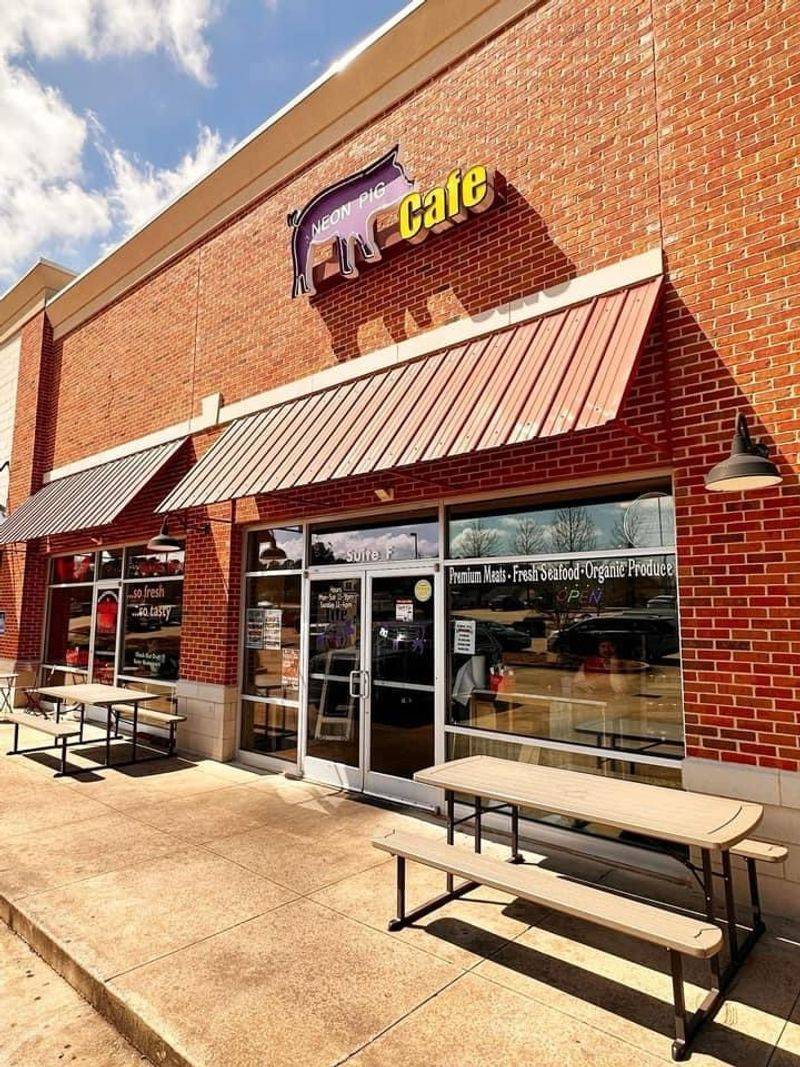 Mississippi – Neon Pig (Tupelo)