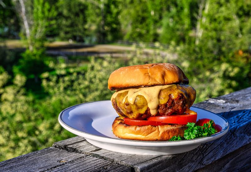 Montana – Bison Burger