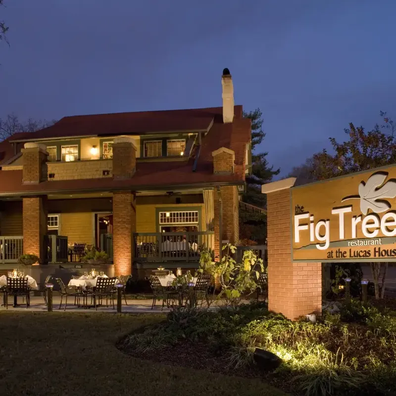 North Carolina: The Fig Tree Restaurant – Charlotte